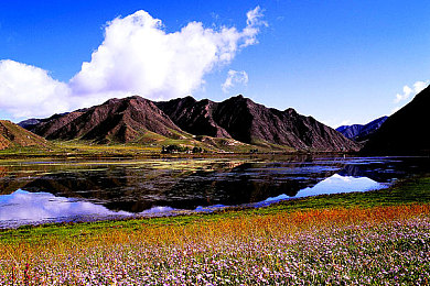 迪丽热巴操逼：极速女神降临，虚拟驾驶新纪元开启，体验人机协同竞速魅力-3