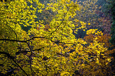 无尽 讨 得到 向上 动漫：二次元赛车新作疾风町上线，开放世界竞速与动漫美学完美融合-3
