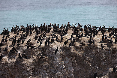 SM调教男奴：极致掌控，征服赛道，硬核调校带你体验人车合一-2