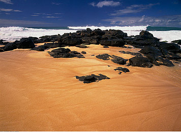 91抖音免费：在极限竞速地平线5中打造你的专属移动娱乐空间