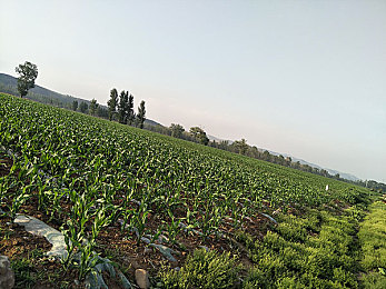 一区二区三区四区精华：驾驭万象地形，成就全境车神之路-2