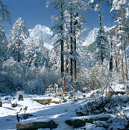 软件下载3.0.3免费oppo版破解大全2023最新儿童：2023儿童驾驶启蒙新作深度评测，揭秘汽车乐园教育设计巧思-2