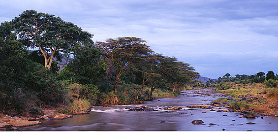 男生和女生一起差差差的网站：双人协同驾驶新游极速搭档上线，差异化合作颠覆传统竞速体验-2