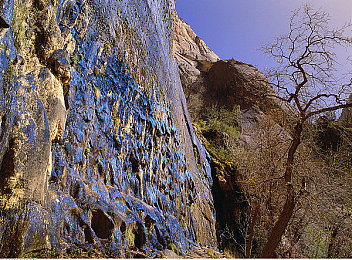 18黄色软件:霓虹赛车新作引爆视觉革命,极致色彩颠覆竞速游戏体验-2
