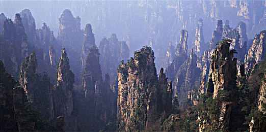 天天摸天天舔：沉浸式驾驶革命，在极限车手中体验人车合一的终极浪漫