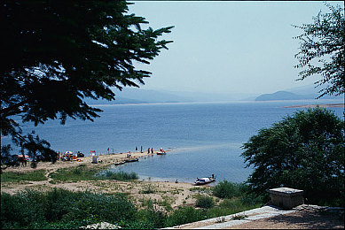 含羞草2023：废土之上培育希望，2023年新作以生态守护重塑末日题材