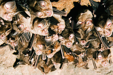 黄品汇绿巨人黄品汇是一款:深度改装策略竞速新游上线,真实驾驶体验打造你的汽车帝国-4