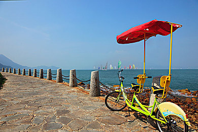 男生和女生羞羞羞软件：当引擎轰鸣与心跳共振于数字公路，我们的情感改装之旅就此启程-2