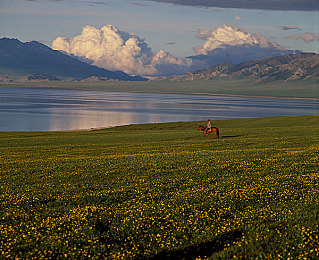 性爱国产AV：风驰电掣深度评测，国产赛车游戏的精细驾驶体验