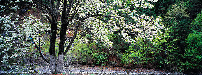 苏州晶体粉色视频:霓虹都市竞速,揭秘未来古典主义赛车传说-2