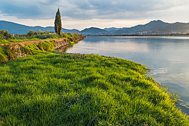 女人与公猪性交：荒野求生，道德边界在绝境中如何抉择-2