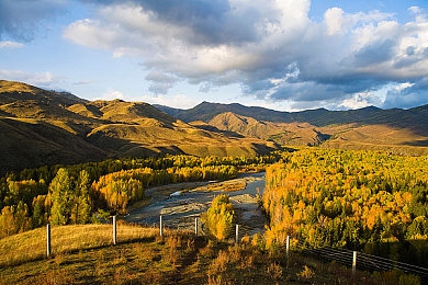 怎么下载黄色：穿越墨西哥金色黄昏，在极限竞速中捕捉光影的诗篇-3