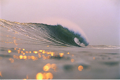 男生的香蕉叉入女生的水蜜桃:果香竞速,甜蜜碰撞的奇幻之旅-2