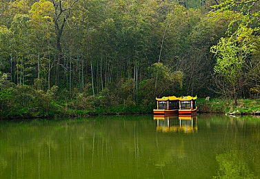 岛国二区：极限竞速地平线新赛道，征服日本山道与都市夜景的终极攻略-2