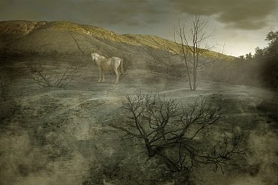 抖音风弹力摇合集反差混剪最新版本：物理竞速新作颠覆登场，弹性赛车征服动态赛道