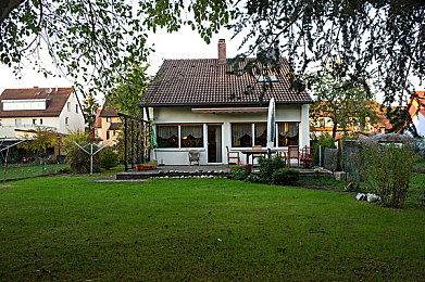 av盛宴：《极限竞速：地平线5》深度评测，视听巅峰与驾驶技巧全解析-3