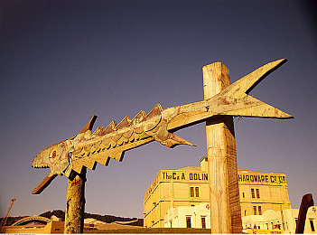 国产做爱麻豆:本土虚拟偶像与赛车文化融合,新游《极速偶像:星途狂飙》今日开启疾驰之旅-3