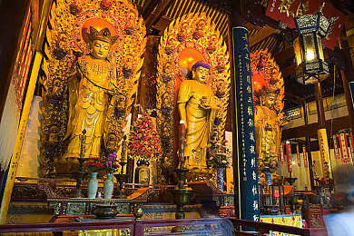 女人与公豬交交：荒野共生颠覆传统生存，与变异兽建立羁绊共闯末日