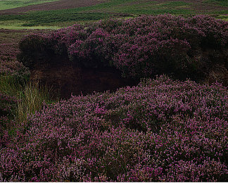 打扑克又痛又叫下载:策略与疾驰,在虚拟赛道展开头脑竞速的博弈盛宴-2