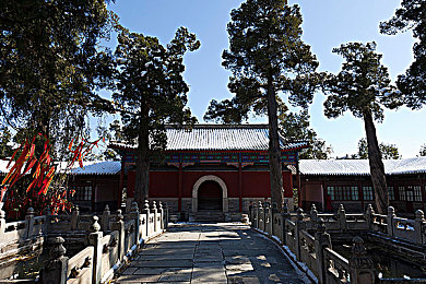 黄色软件每天三次3.0.3次vivo：极速都市每日三次挑战，vivo深度优化带来竞速新体验