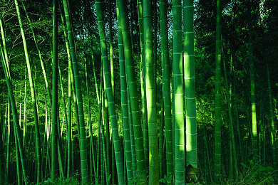 黄色3.3△：霓虹都市传奇赛道，三角弯终极挑战，征服你的竞速之魂-2