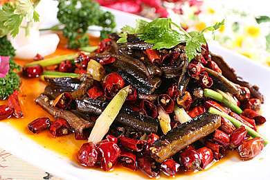 中文娱乐网22更新内容分享：极限竞速地平线5全新攻略，车辆调校与隐藏要素全解析-2