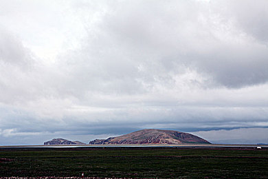 男人与女人交配软件:极速伴侣双人驾驶挑战,开启协作竞速新纪元-4