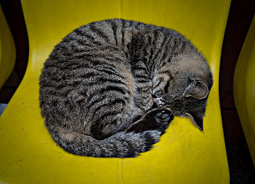 404禁止软件：霓虹幻影中的合法极速，数据赛道上的永恒驰骋-3