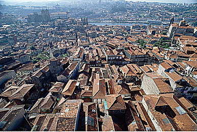 亚洲 一区：霓虹街巷，极速穿梭的东方都市狂想曲-3