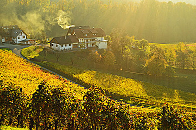 机机对机机无需要下载：云中极速，指尖竞逐，无载对决新纪元-2