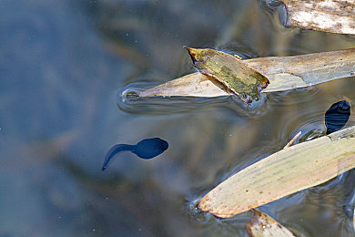 区一区二区：赛道征服的节奏，弯道与直道的心理博弈-2