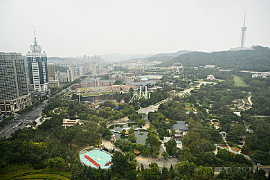 两人打扑克：极速狂飙与卡牌博弈，全新策略竞速游戏今日上线-3