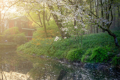 亚洲区1：《极限竞速：地平线4》全新东京DLC上线，都市夜飙体验全面革新-3