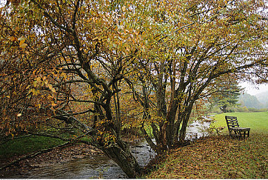 性生活app：虚拟座驾养成新游上线，人车羁绊驱动十二种结局-1