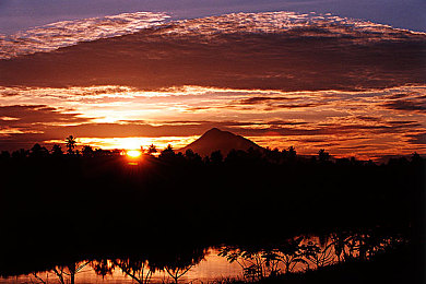 男生女生差差差APP:当赛车遇上性别,差异化竞速引爆策略对决-2
