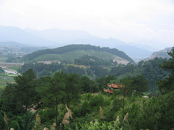 双人床上打扑克又痛：今日上线，极速牌手开启策略竞速全新对决时代-2