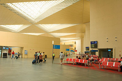 黄色污：极限驾驶挑战，污染都市中的生存竞速