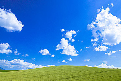 火影忍者成人版:查克拉赛车极速对决,全新忍术竞速游戏今日震撼上线-1