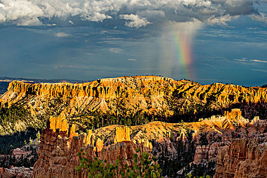 叶钊莹：静心流转，弯道中的东方平衡艺术-2