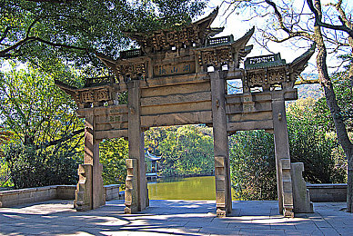 黄色APP下载3.03每天无限次：突破限制，畅享无拘无束的赛道飞驰新体验-4