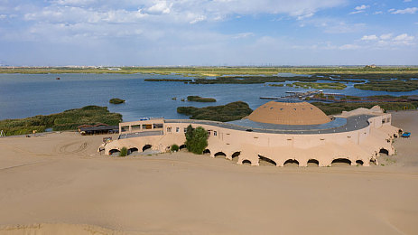 男同调教：双人调校革新赛车游戏，深度协作驱动极速冠军之路-1