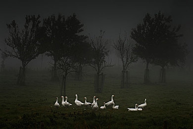 美女脱衣服App：极速衣橱，街头车神的时尚竞速与华丽蜕变之旅-2