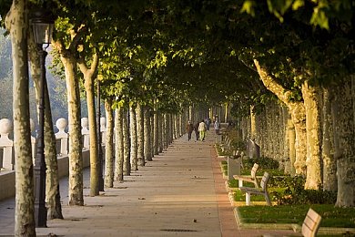 黄色软件下载3.0.3免费vivo：霓虹夜幕下的机械诗篇，改装艺术与都市竞速的共鸣之旅-2