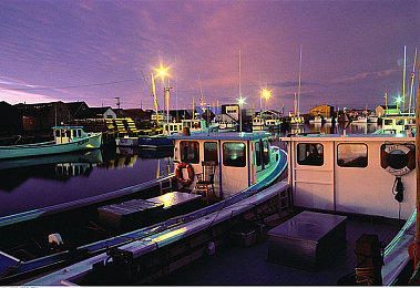 美女不穿衣服网站app：虚拟赛车与时尚设计，开启速度与美学的创意之旅-2