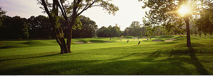 麦乐迪马克斯女超人：锈蚀荒原上的疾驰守护者，油污与荣光的末日战车传奇-2