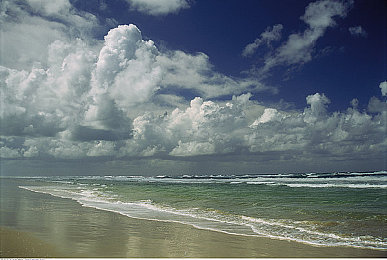 男生把自己的坤坤放进女生的坤坤里:双车能量共鸣,极速协同突破之旅-2