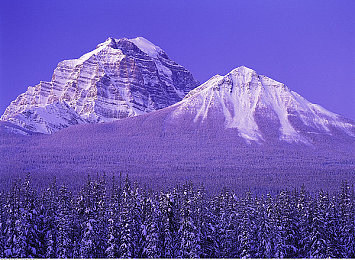 男人的香蕉插进女人的桃子里:鲜果飞车穿梭于缤纷桃林赛道-2