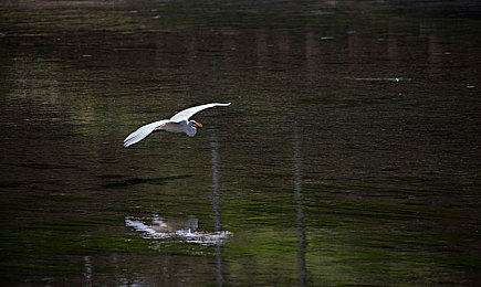 十八岁禁用软件：驾驭之魂，征服物理法则的终极试炼场-2