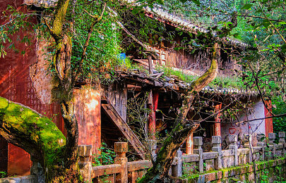 成人无码sm调教男奴：精密工程与速度艺术的无声对话