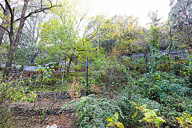 男女生一起日批的软件：极速协奏，共驭风云，双人驾驶的默契挑战-4